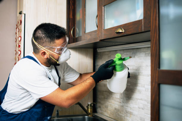 Trusted North Caldwell, NJ Pest Control Experts