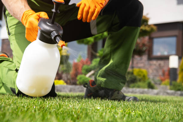 Best Emergency Pest Control  in North Caldwell, NJ