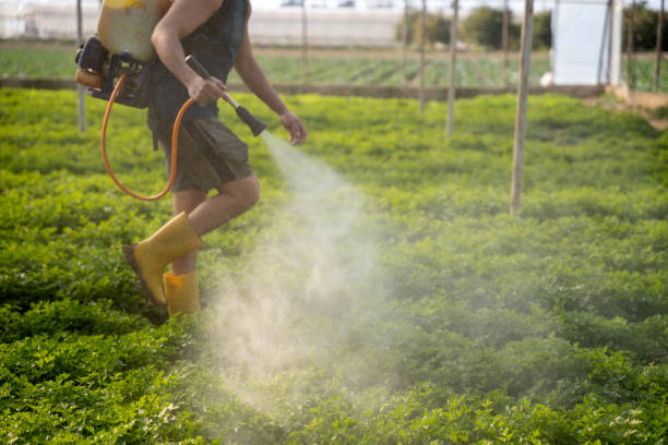 Best Pest Removal Services  in North Caldwell, NJ
