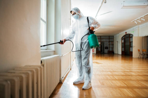 Wasp Removal Services in North Caldwell, NJ