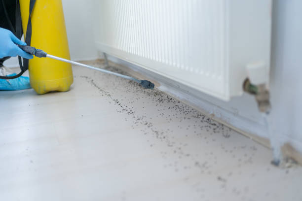 Best Termite Control Services  in North Caldwell, NJ